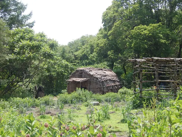 Accommodation Establishment: Lepogo Lodges