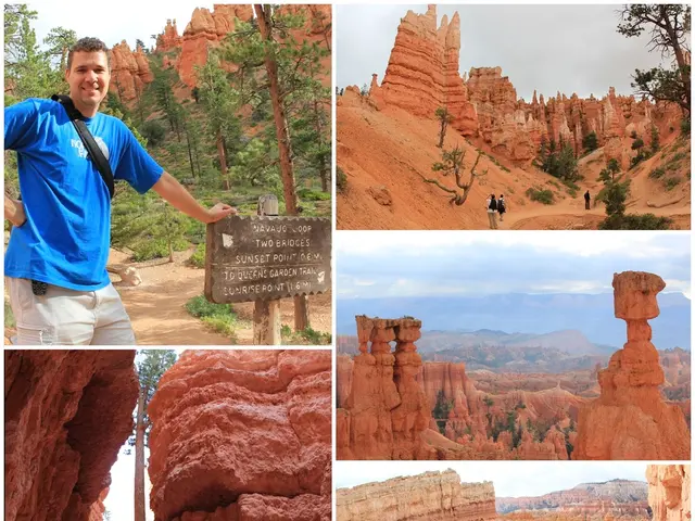 UNESCO Includes 7 Indian Locations in Preliminary List as Chhath Festival Aims for Intangible...