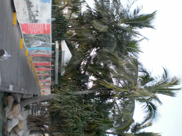 Multiple Digital Route Networks Accessible