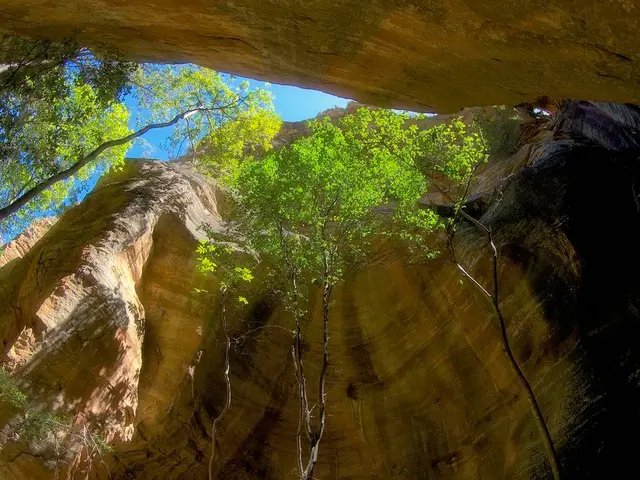 In this picture we can see the view of trees & mountain caves from the bottom. At the top the sky...