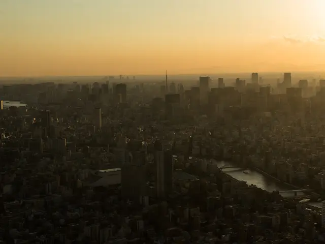 In this image there is a view of a city with so many buildings, in the middle of the buildings...