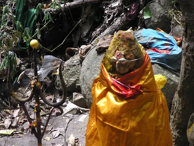 In this image we can see a statue wrapped with cloth, iron rods, shredded leaves, rocks and plants.