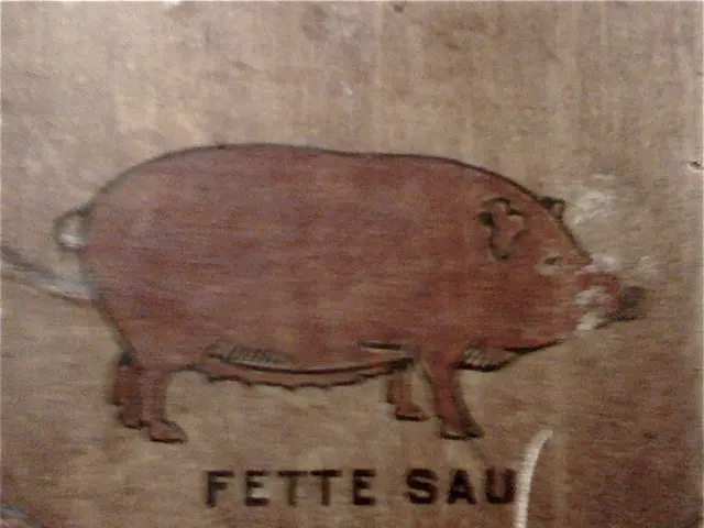 Here we can see drawing of a pig on a platform.