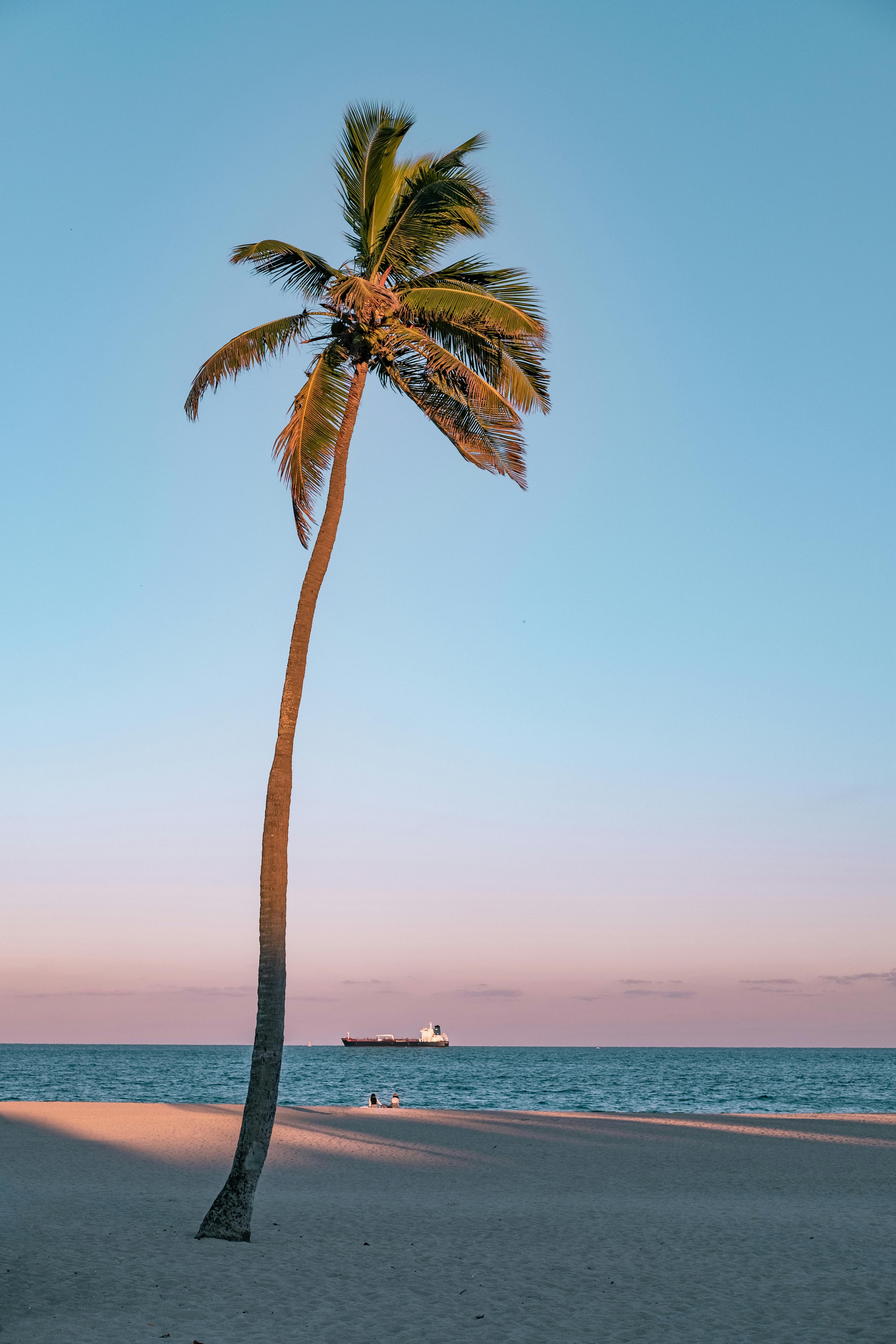Enhanced fascination towards Mexico as a travel spot might fortify its economic standing.